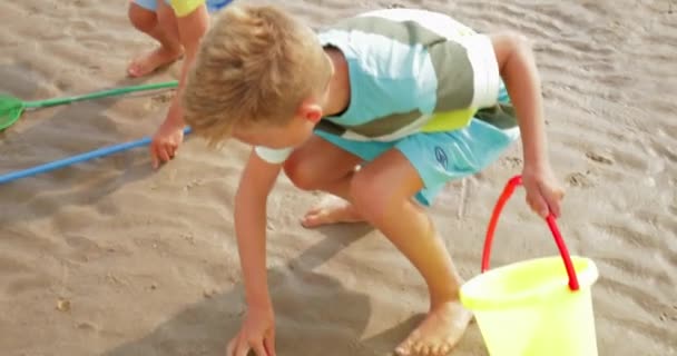Dva Malí Kluci Běží Vyzvednout Mušle Pláži Přidat Své Sbírky — Stock video