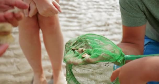 Közeli Kép Kisfiú Szüleivel Nézegette Kagyló Hogy Találta Strandon — Stock videók