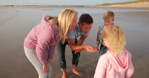 Zeitlupenschwenken Zweier Eltern Die Sich Hineinlehnen Ihren Beiden Kindern Die — Stockvideo