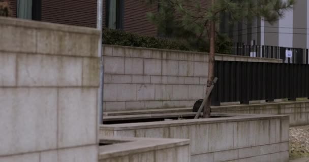 Freerunner profite d'une séance de formation dans le centre-ville de Newcaste. Il saute entre les murs et les bâtiments, faisant des flips et des roues au fur et à mesure .