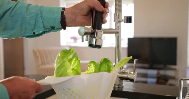 Nærbillede Uigenkendelig Person Der Vasker Salat Vasken – Stock-video