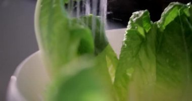 Lavabonun altında marul yıkayan tanınmayan birinin yakın plan fotoğrafı..