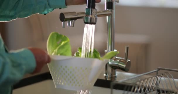 Close Shot Unrecognizable Person Washing Lettuce Sink — Stock Video