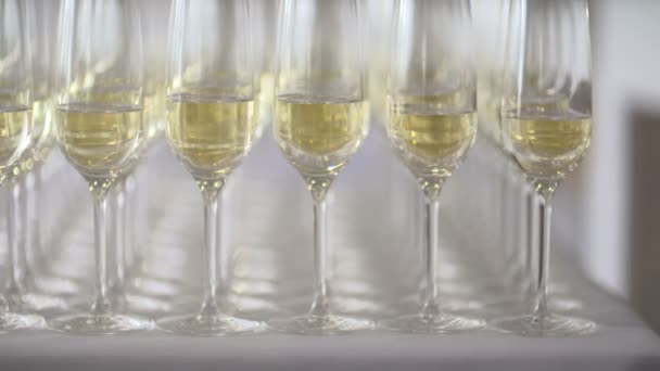 Many glasses of champagne on the table — Stock Video