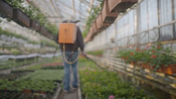 Trabajador regando flores en 4K — Vídeo de stock