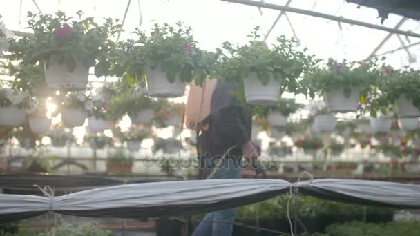 Trabajador regando flores en 4K — Vídeo de stock