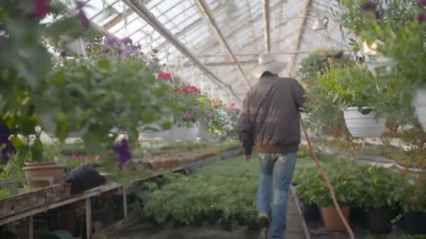 Worker watering flowers in 4K — Stock Video