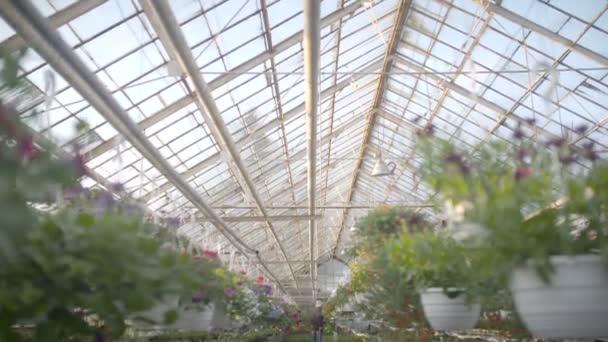 Рабочий полив цветов в 4K — стоковое видео