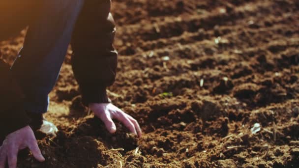 Agricultor examinando solo. Fundo agrícola . — Vídeo de Stock