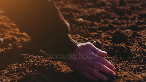 Фермер изучает почву. Сельское хозяйство . — стоковое видео