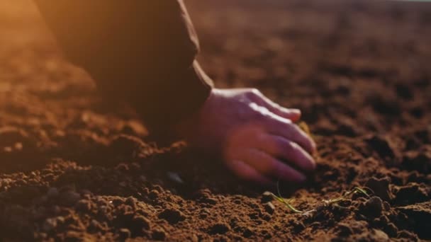 Agricultor examinando solo. Fundo agrícola . — Vídeo de Stock