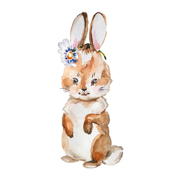 Акварель маленькая иллюстрация цвета кролика — стоковое фото
