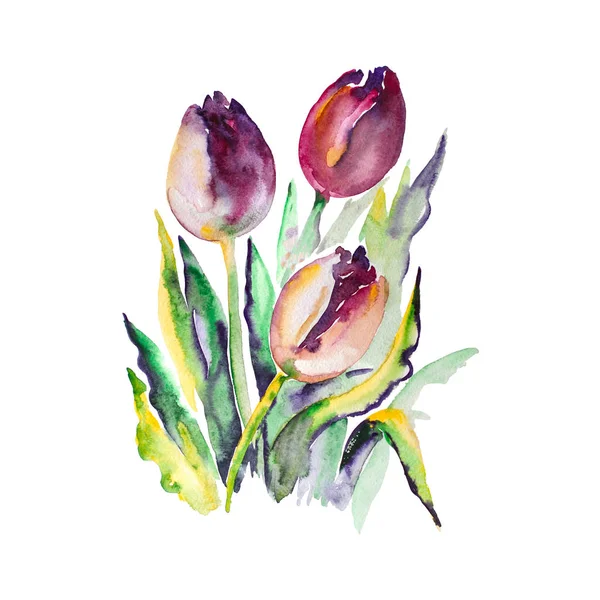 Aquarel rode tulpen kleur illustratie — Stockfoto