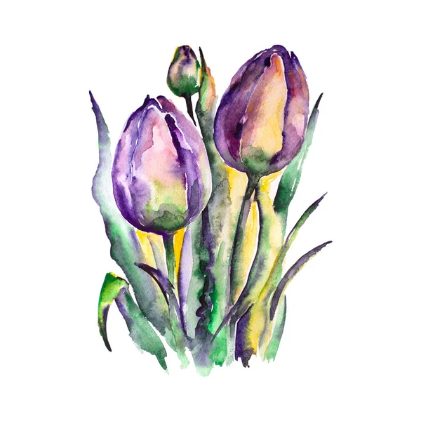 Sulu Boya Lale illüstrasyon renk 