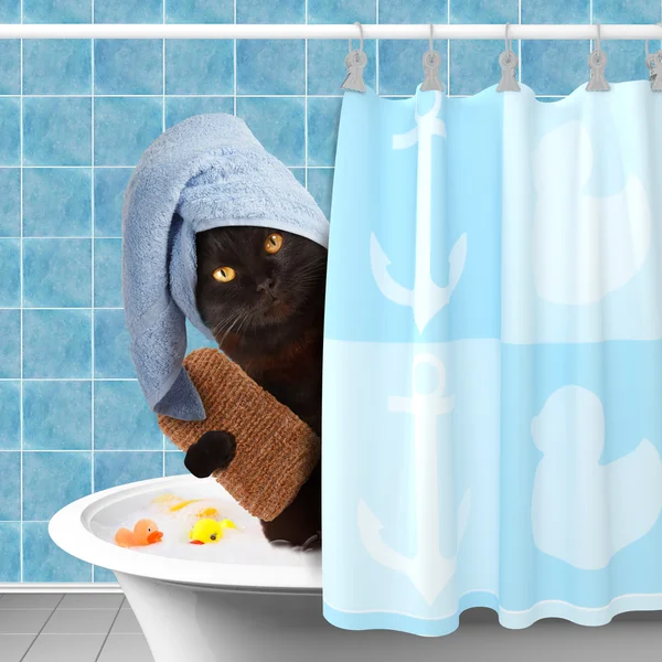 Gatto divertente che fa il bagno . — Foto Stock