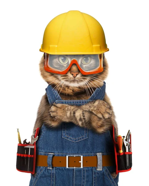 Bauarbeiter-Katze im Helm — Stockfoto