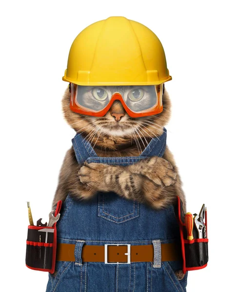 Kask oluşturucu kedi