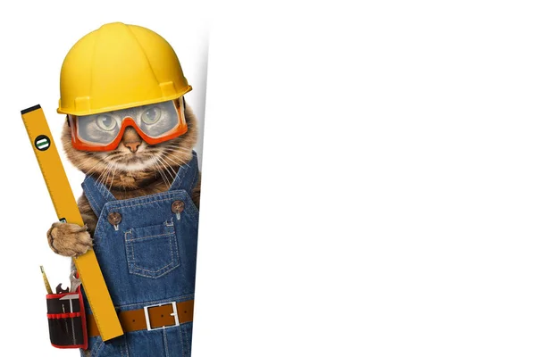 Builder katt i hjälm — Stockfoto