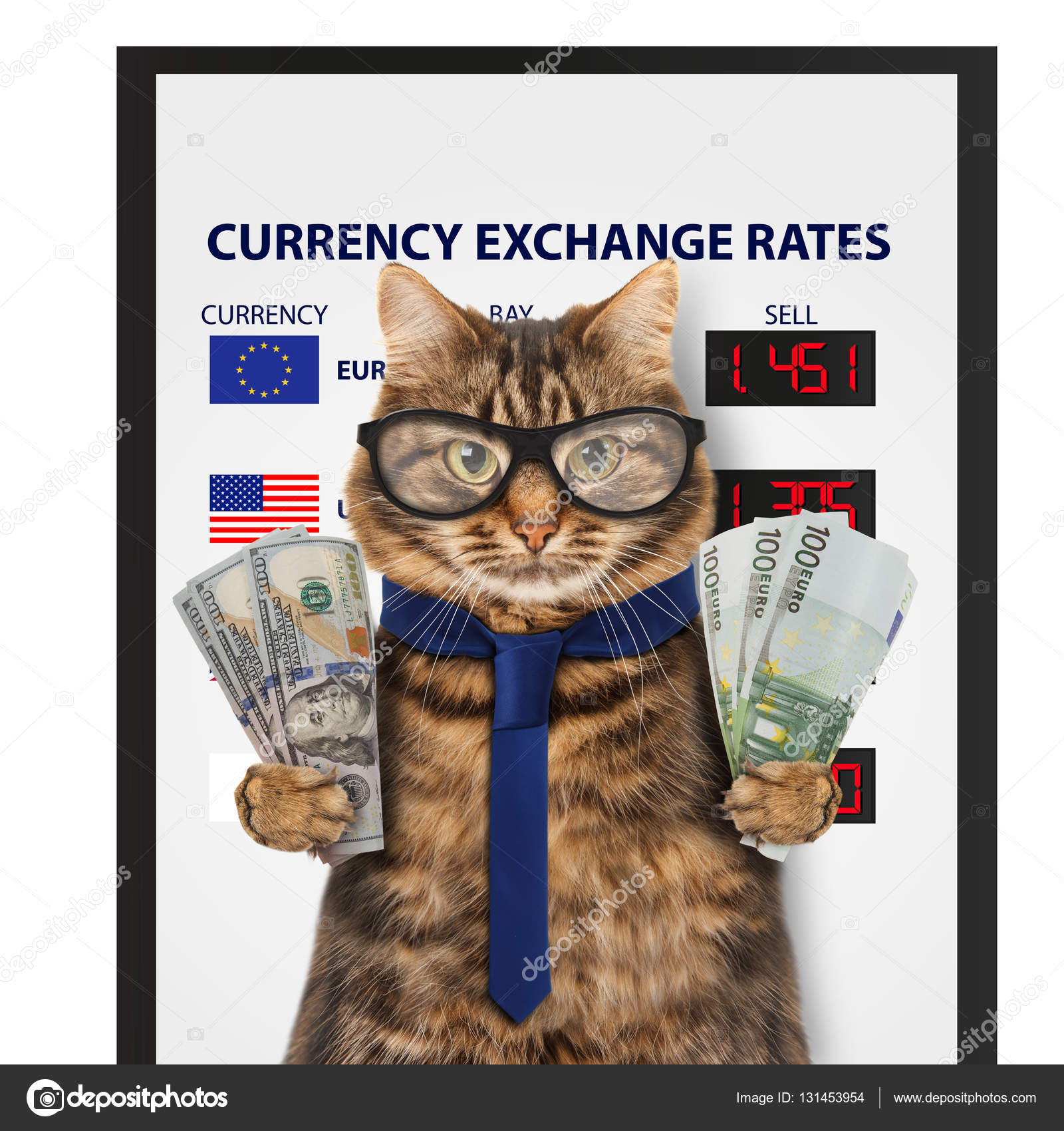 Funny cat, currency exchange. — Stock Photo © funny_cats 131453954