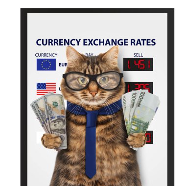 Komik kedi, Döviz Alım Satım. 
