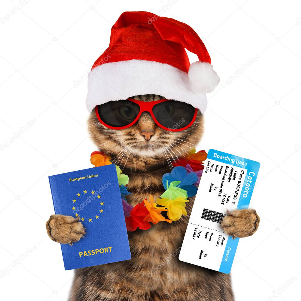 Cat with passport and airline ticket