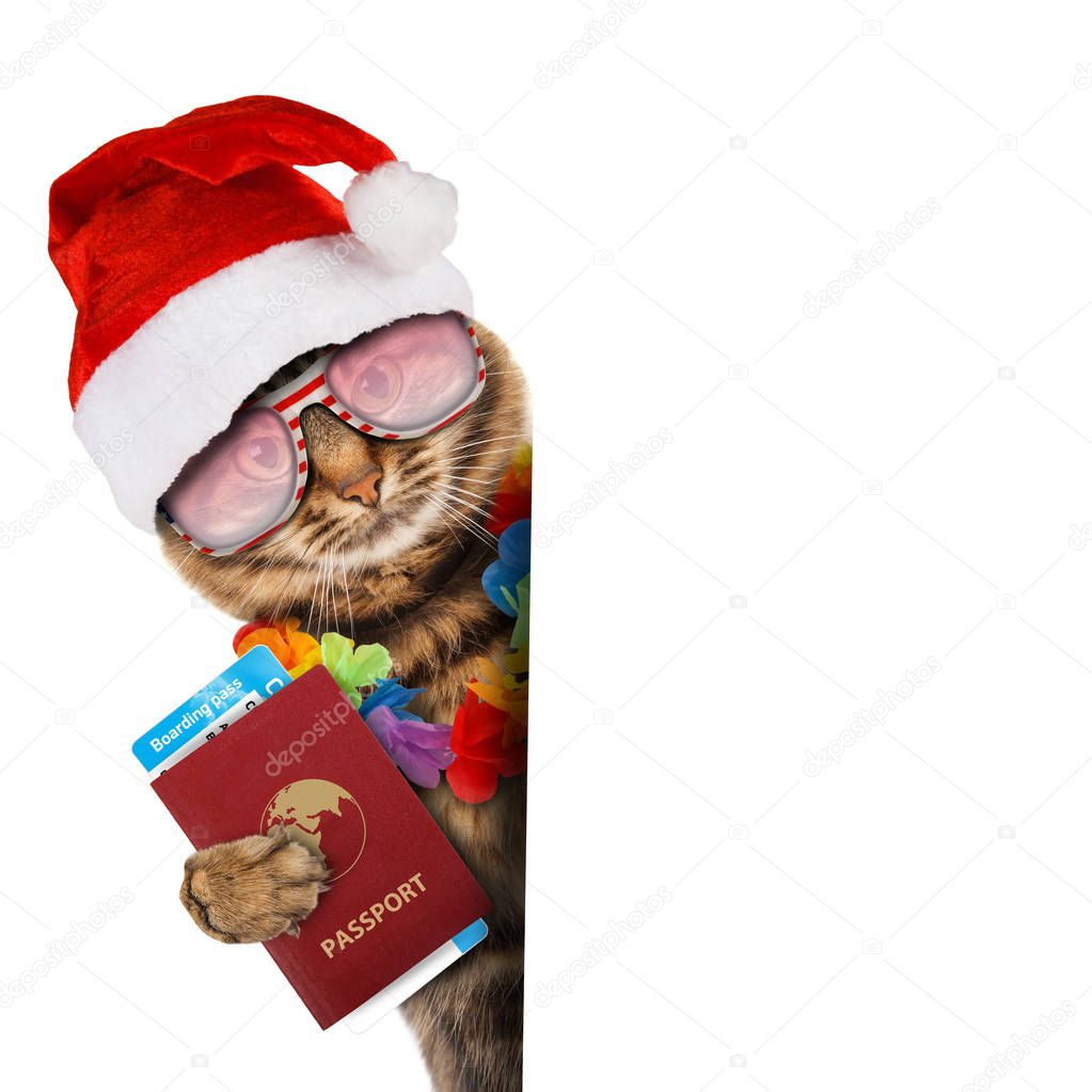 Cat with passport and airline ticket