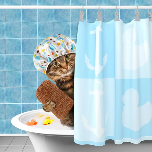 Komik kedi küvet aksesuarları ile.