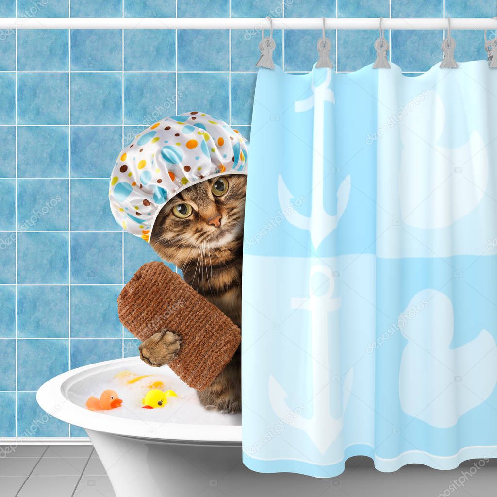 Funny cat with accessories for bathtub.