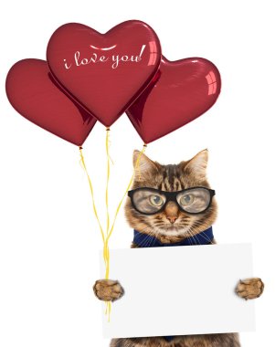 Komik kedi hediye ve kırmızı balon ile. Sevgililer günün kutlu olsun.