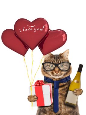 Komik kedi hediye ve kırmızı balon ile. Sevgililer günün kutlu olsun.