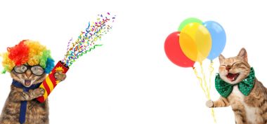 Komik Kediler bir palyaço kostüm giyen ve balon tutuyor. Onlar bir festival elbise giyiyorsun.