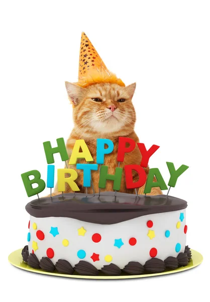 Gatto divertente con torta di compleanno felice, indossa un cappello da festa, isolato su sfondo bianco . Immagine Stock