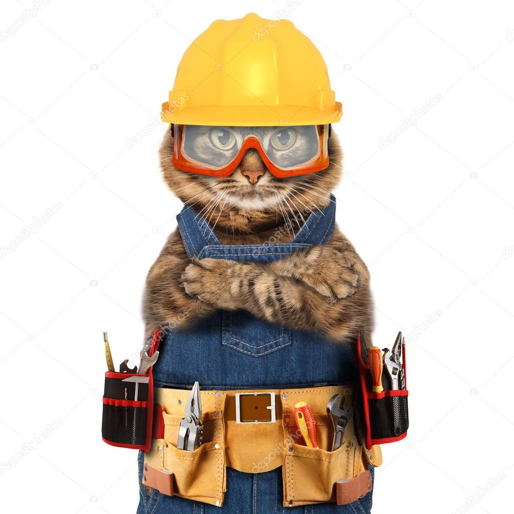 Funny cat is wearing a suit of builder. Craftsman on the white background.