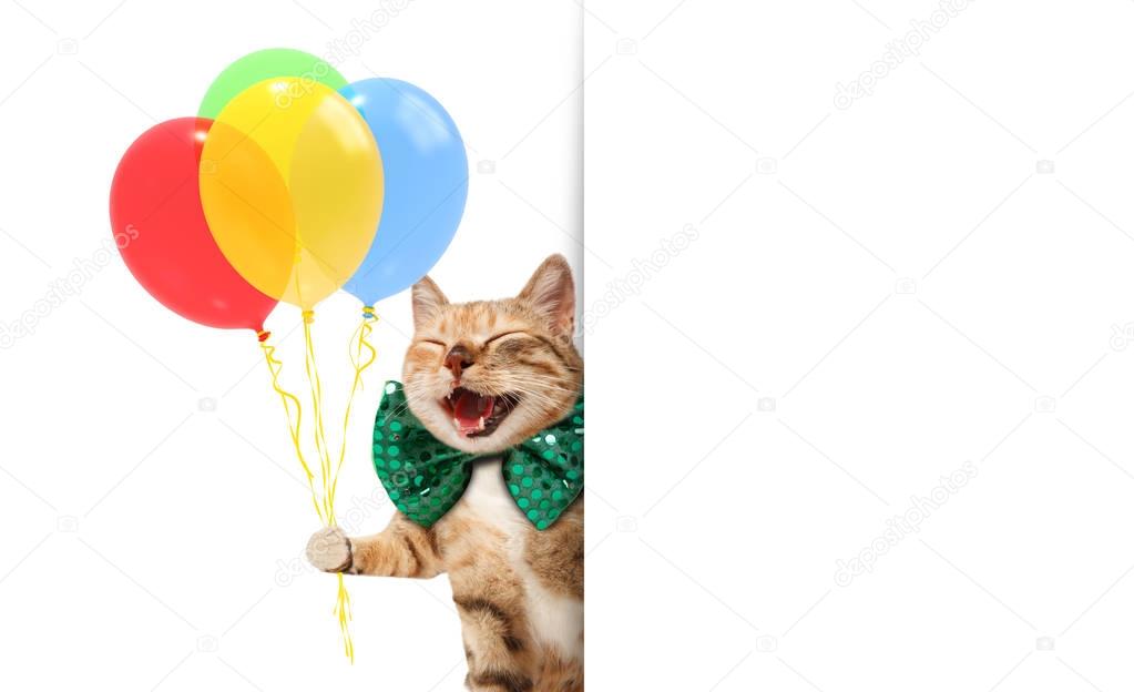 Funny cat is wearing a festive clothes and holding balloons. White label for text.
