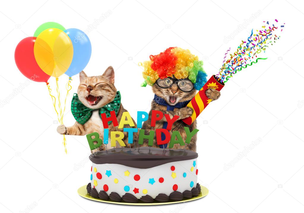 Funny cats with petard and birthday cake. They are wearing festive clothes, isolated on white background.