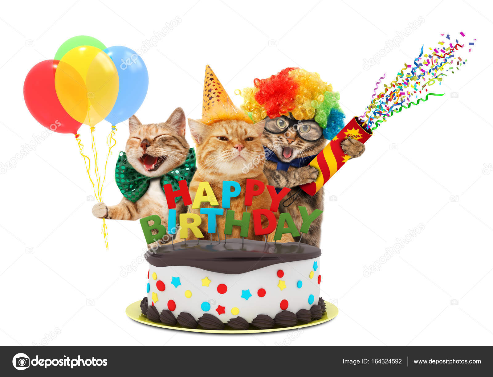 Happy birthday cat fotos de stock, imágenes de Happy birthday cat sin  royalties | Depositphotos