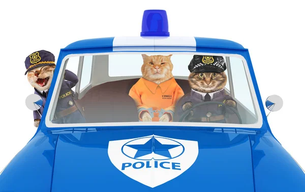 滑稽的猫去警察局 两名警察和囚犯在橙色连身裤 免版税图库图片