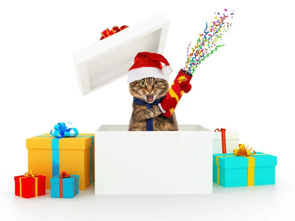 Gato Gracioso Con Petardo Saltando Caja Sorpresa Navidad Fotos De Stock