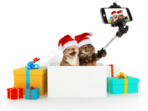 滑稽的猫咪正在用智能手机相机自拍 他们戴着圣诞帽 自拍党 图库图片