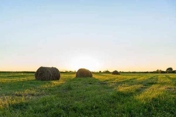 Sheaf of hay on the field at sunset — Stock Photo, Image