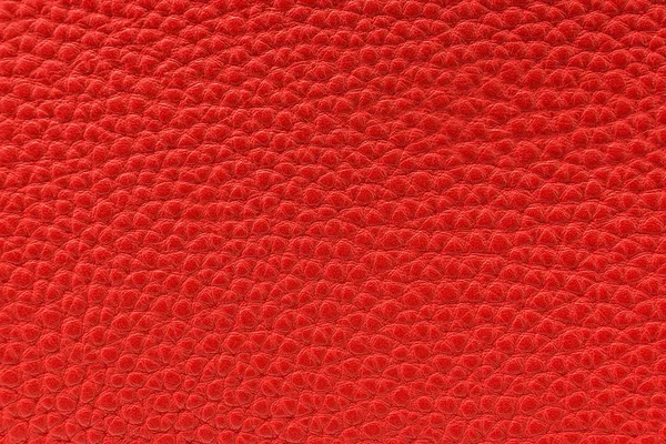 The texture of the skin is red — Stock Photo, Image