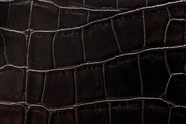 gri doku derinin olduğunu