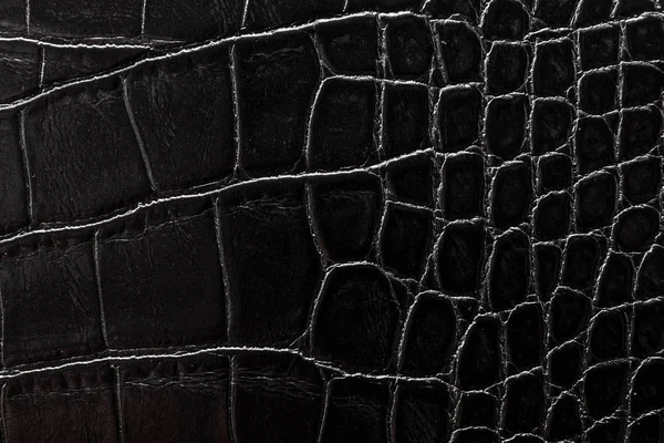 gri doku derinin olduğunu