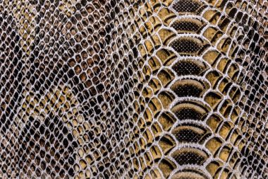 Yılan deri dokusu