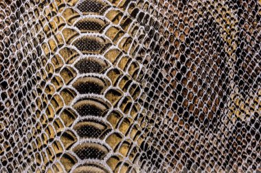 Yılan deri dokusu
