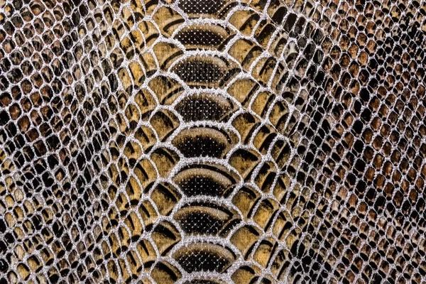 Yılan deri dokusu