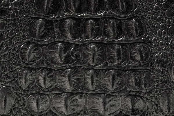 Текстура шкіри сіра — стокове фото