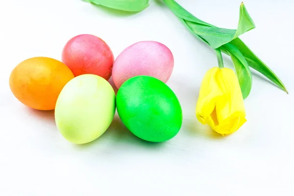 Huevos de Pascua y una flor — Foto de Stock