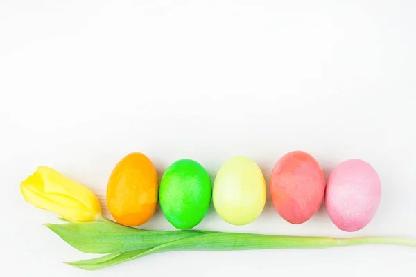 Huevos de Pascua y una flor — Foto de Stock
