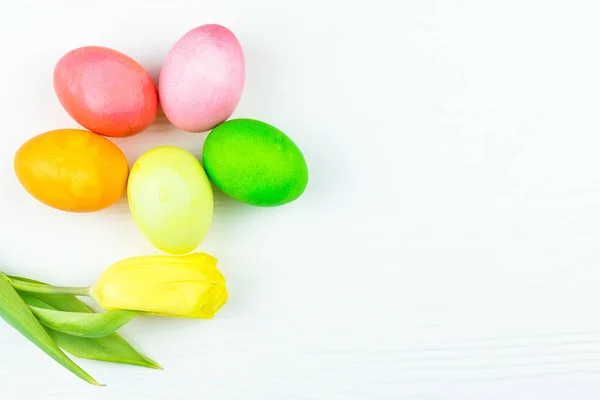 Huevos de Pascua y una flor — Foto de Stock